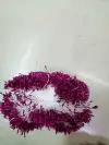 Zhu Guang 01 Wine Red Flower Core Gypsum 01 Specification image